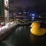 Giant yellow rubber duck