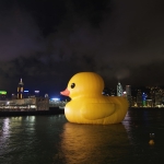 Giant yellow rubber duck