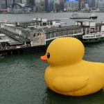 Giant yellow rubber duck