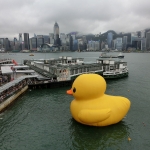 Giant yellow rubber duck