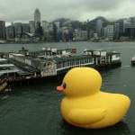 Giant yellow rubber duck