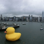 Giant yellow rubber duck