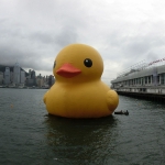 Giant yellow rubber duck