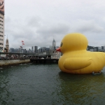 Giant yellow rubber duck