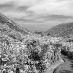 MacLehose Trail Stage 2