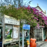 Tai O Wing On Street