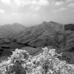 Tai Tam Reservior