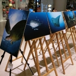 An underwater photography exhibition by Joe Kwok