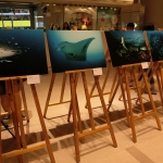 An underwater photography exhibition by Joe Kwok