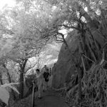 Cheung Po Tsai Cave