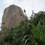 Elephant Rock