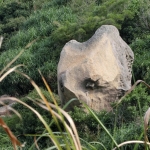 Human Head Rock