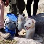 Relaxing hike