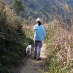 Descent from Tai Tung Shan