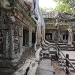 Ta Prohm