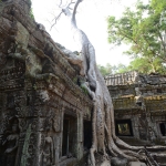 Ta Prohm