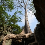 Ta Prohm