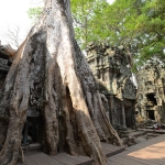 Ta Prohm