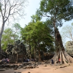 Ta Prohm