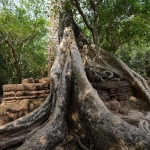 Ta Prohm