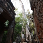 Ta Prohm