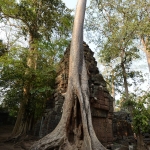 Ta Prohm