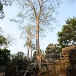 Ta Prohm