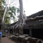 Ta Prohm