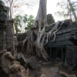 Ta Prohm