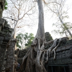 Ta Prohm