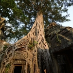 Ta Prohm