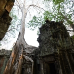 Ta Prohm