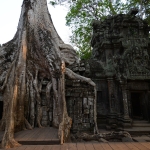 Ta Prohm