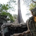 Ta Prohm