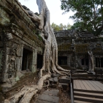 Ta Prohm