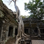 Ta Prohm