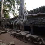 Ta Prohm