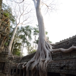 Ta Prohm