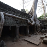 Ta Prohm