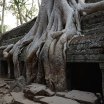 Ta Prohm