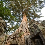 Ta Prohm