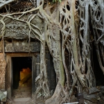 Ta Prohm