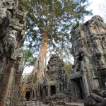 Ta Prohm