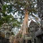 Ta Prohm