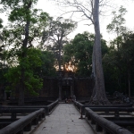 Ta Prohm