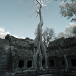 Ta Prohm