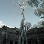 Ta Prohm