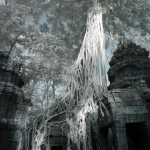 Ta Prohm