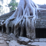 Ta Prohm