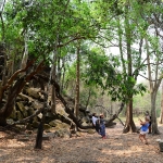 Beng Mealea